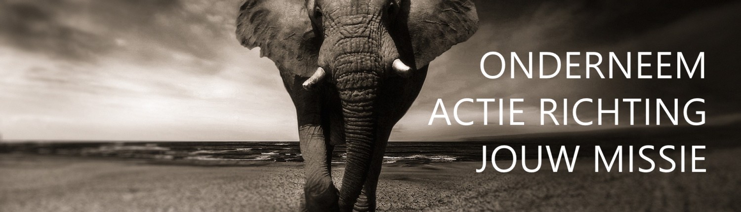 elephant-onderneem actie